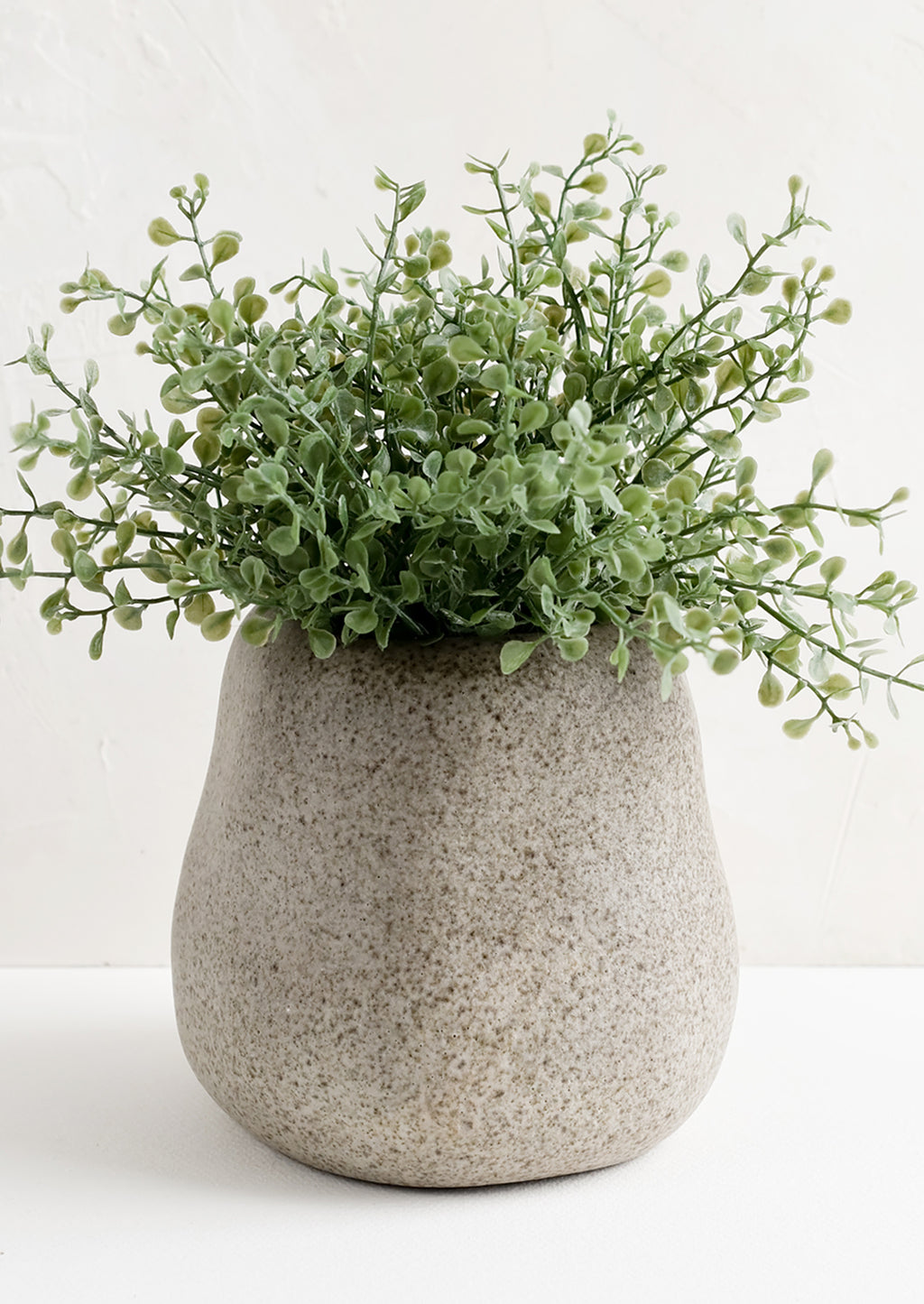 Short: A grey organically shaped ceramic planter with leafy plant.