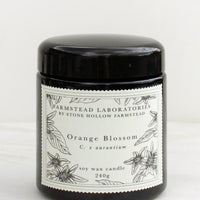 Orange Blossom: An orange blossom scented candle in black jar with black and white botanical label.
