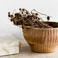 Medium: A wooden bowl housing dried seedpod bundle.