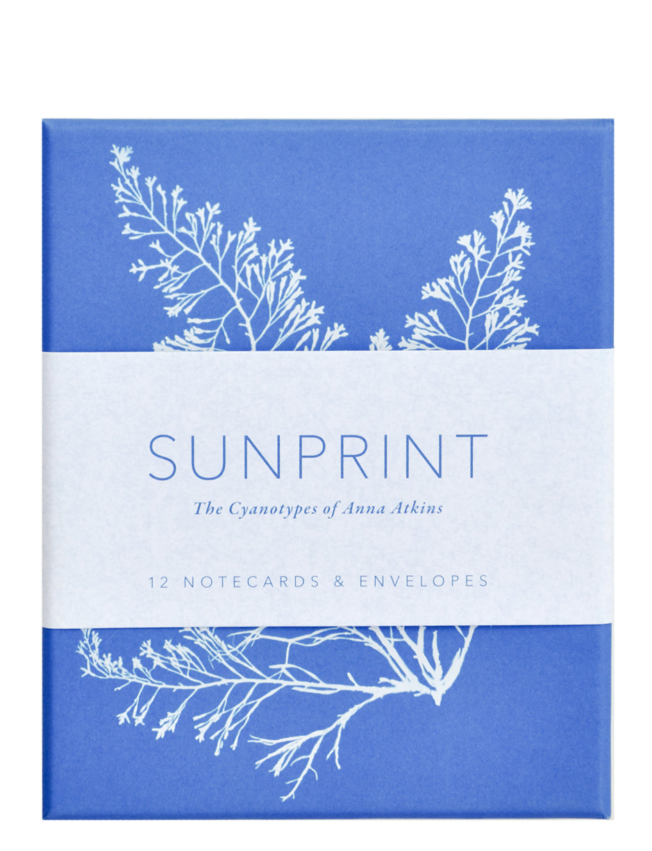 2: Sunprint Notecard Set in  - LEIF