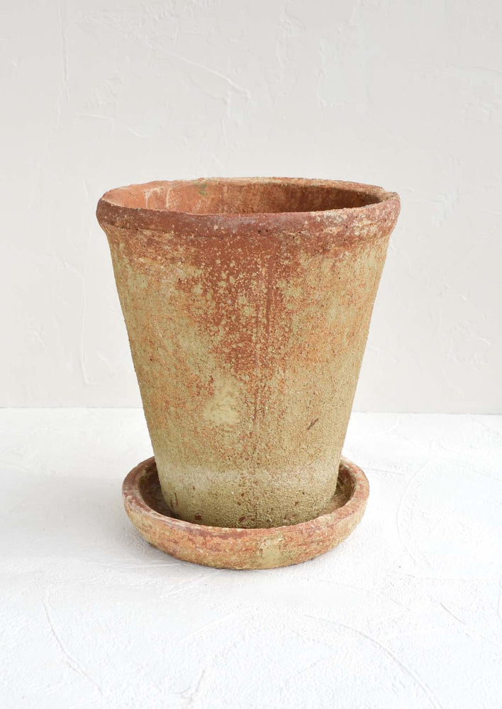 Medium: A rustic, heavily textured terracotta clay planter with saucer.
