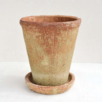 Medium: A rustic, heavily textured terracotta clay planter with saucer.