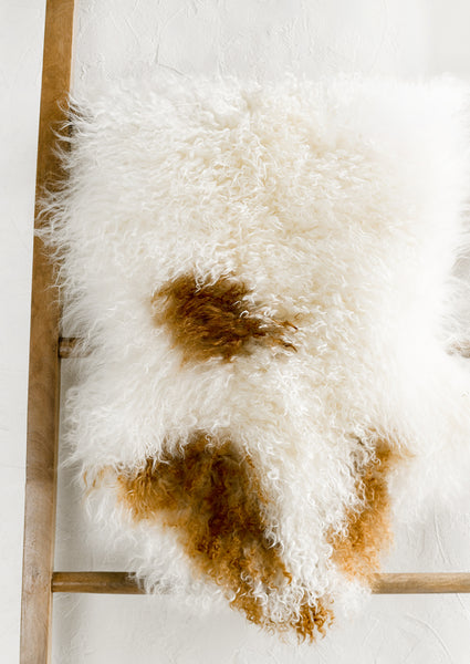 Tibetan Curly Lamb Fur – LEIF