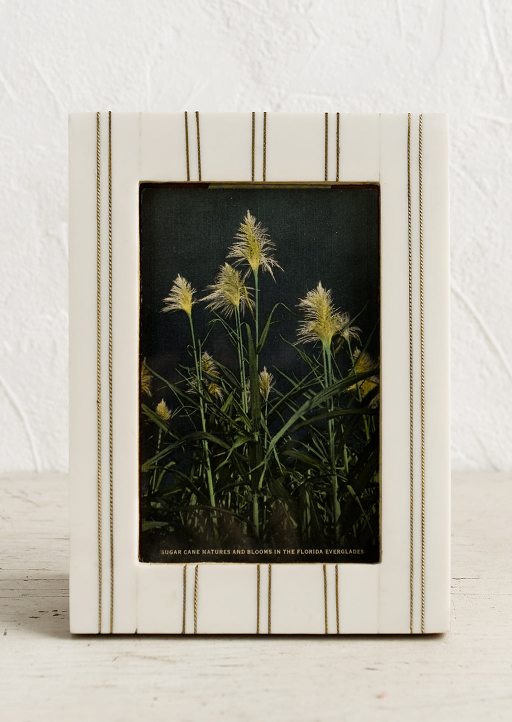 1: An ivory resin picture frame with vertical brass ticking stripe detail.