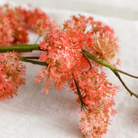 2: A faux stem of coral valerian flower.