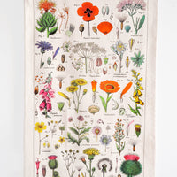 3: Wildflower Species Printed Cotton Tea Towel - LEIF
