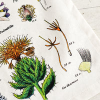 4: A cotton textile with colored botanical screenprint design.
