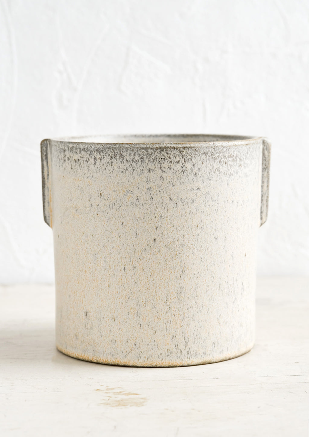 2: A neutral, speckled ceramic round planter with raised detailing at sides.