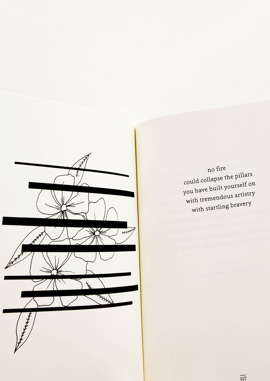 3: Inside pages of a softcover poetry book featuring a mix of illustrations and short poems